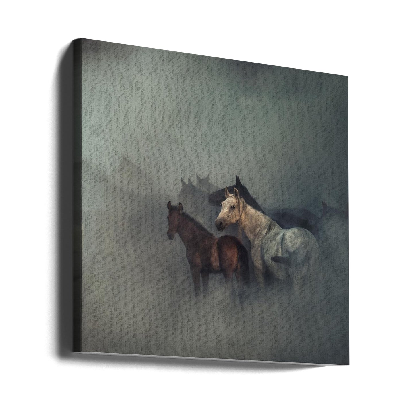 De försvunna hästarna | Canvas