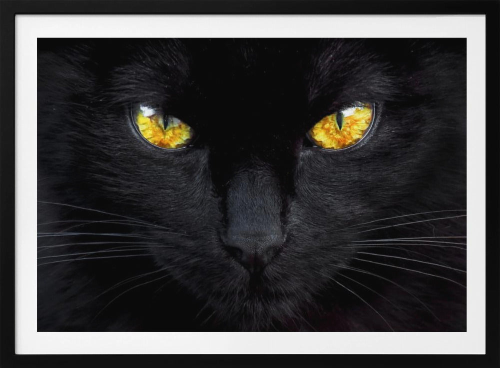 L'hypnotiseur de la nuit | Posters - Affiche Artistique