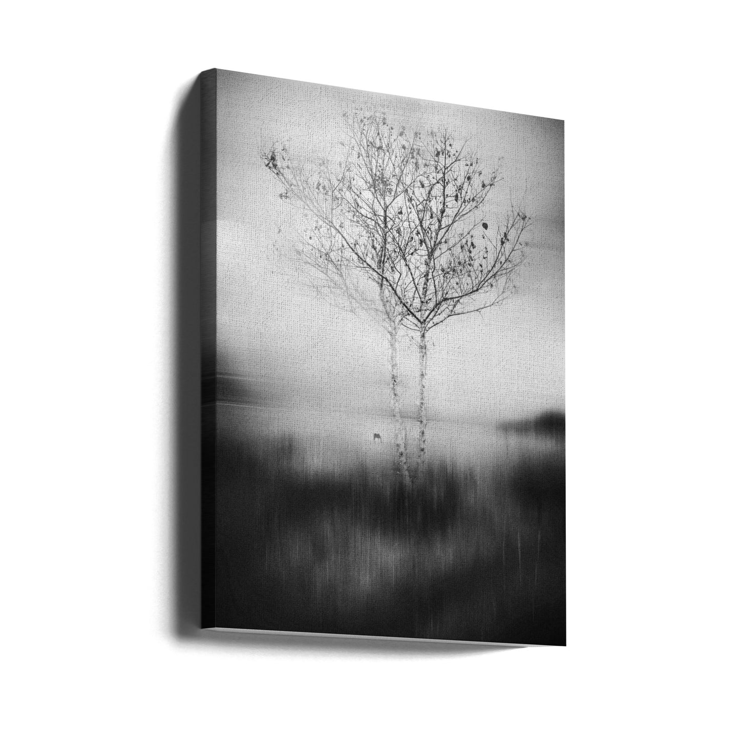 Quell'albero | Stampe su Tela