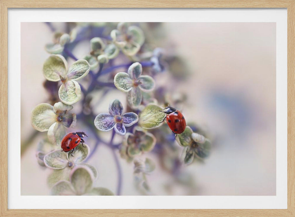 Fragile | Poster - Stampe d’Arte