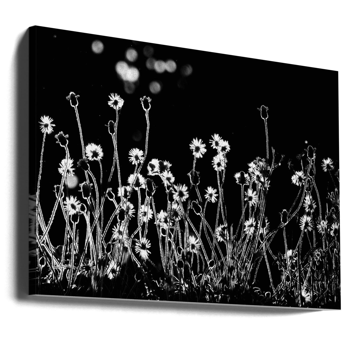 I piccoli fiori | Stampe su Tela