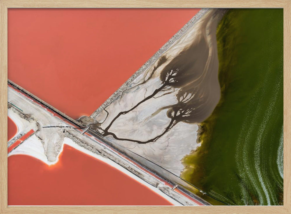 La pittura della natura | Poster - Stampe d’Arte