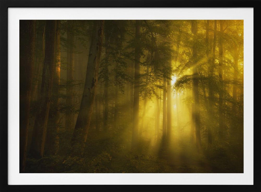 Jaune | Posters - Affiche Artistique