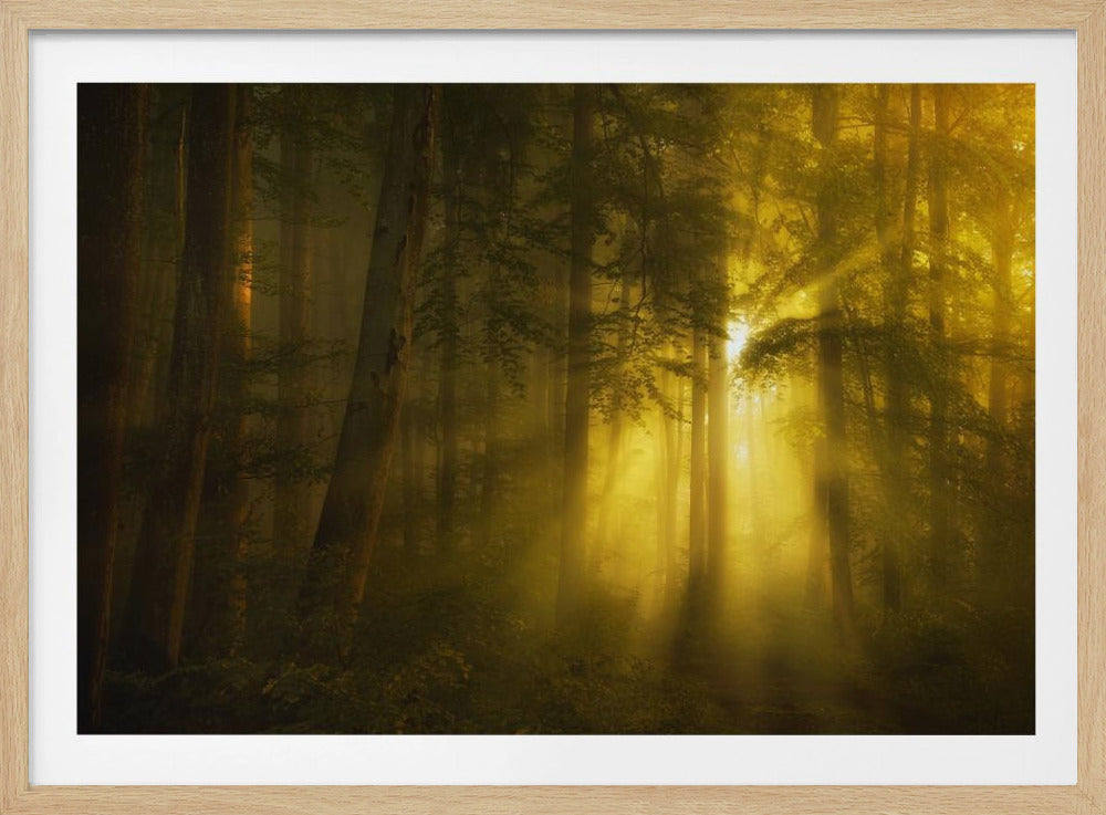 Jaune | Posters - Affiche Artistique