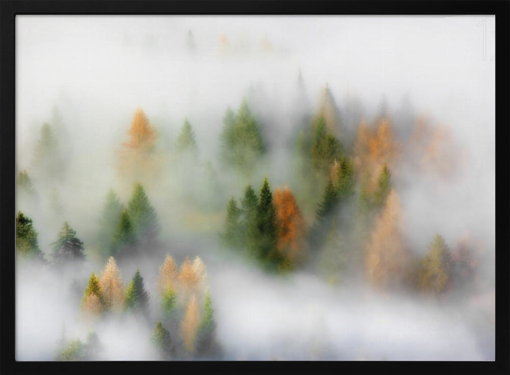 Rêve d'automne | Posters - Affiche Artistique