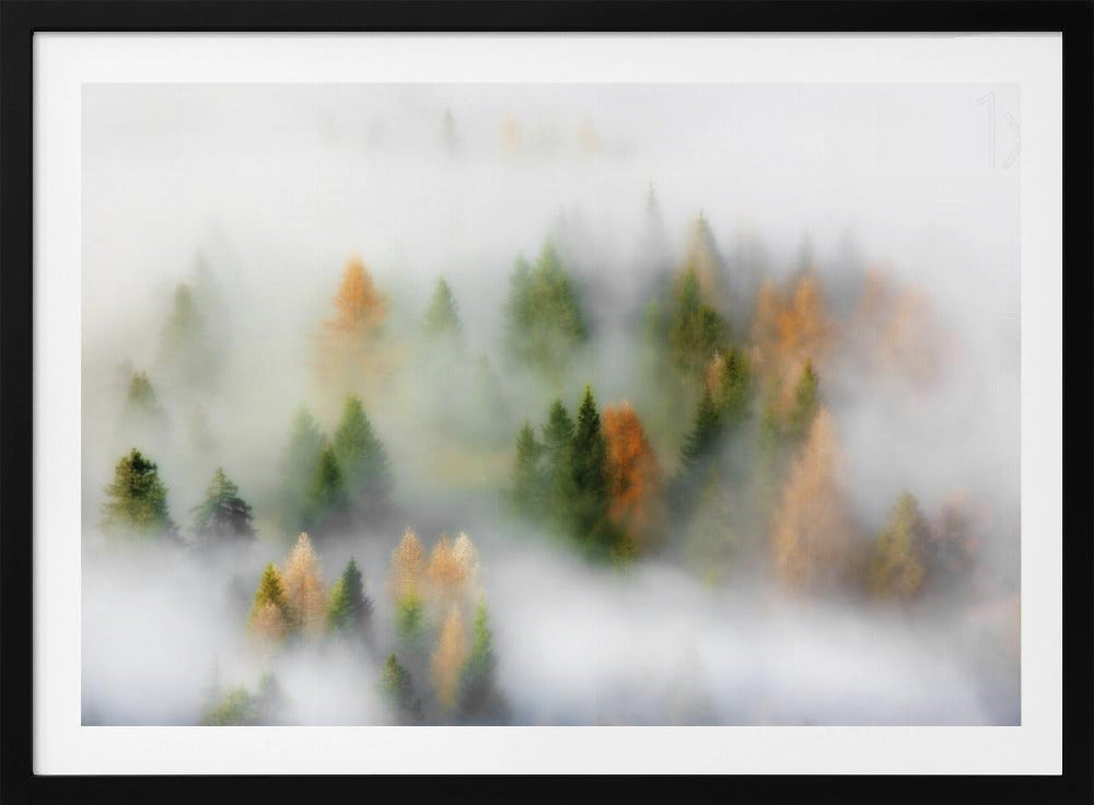 Rêve d'automne | Posters - Affiche Artistique