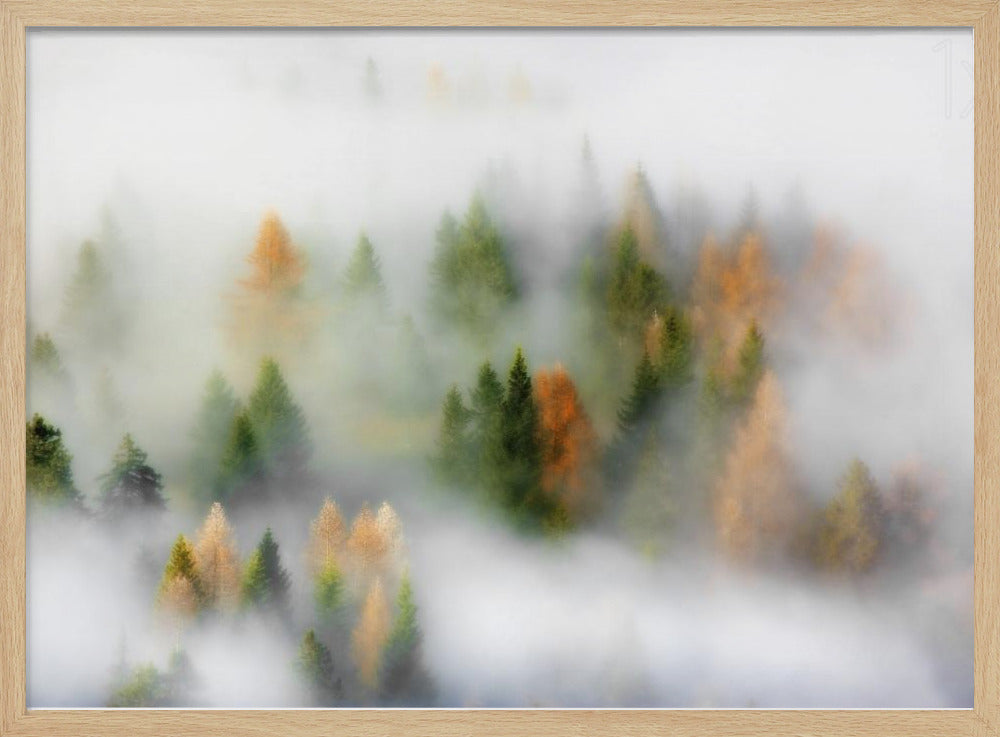 Rêve d'automne | Posters - Affiche Artistique