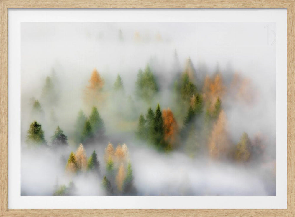 Rêve d'automne | Posters - Affiche Artistique