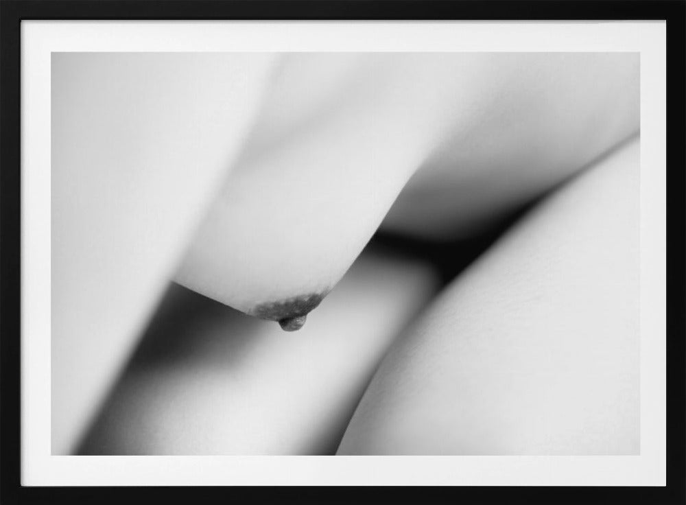 The body | Poster