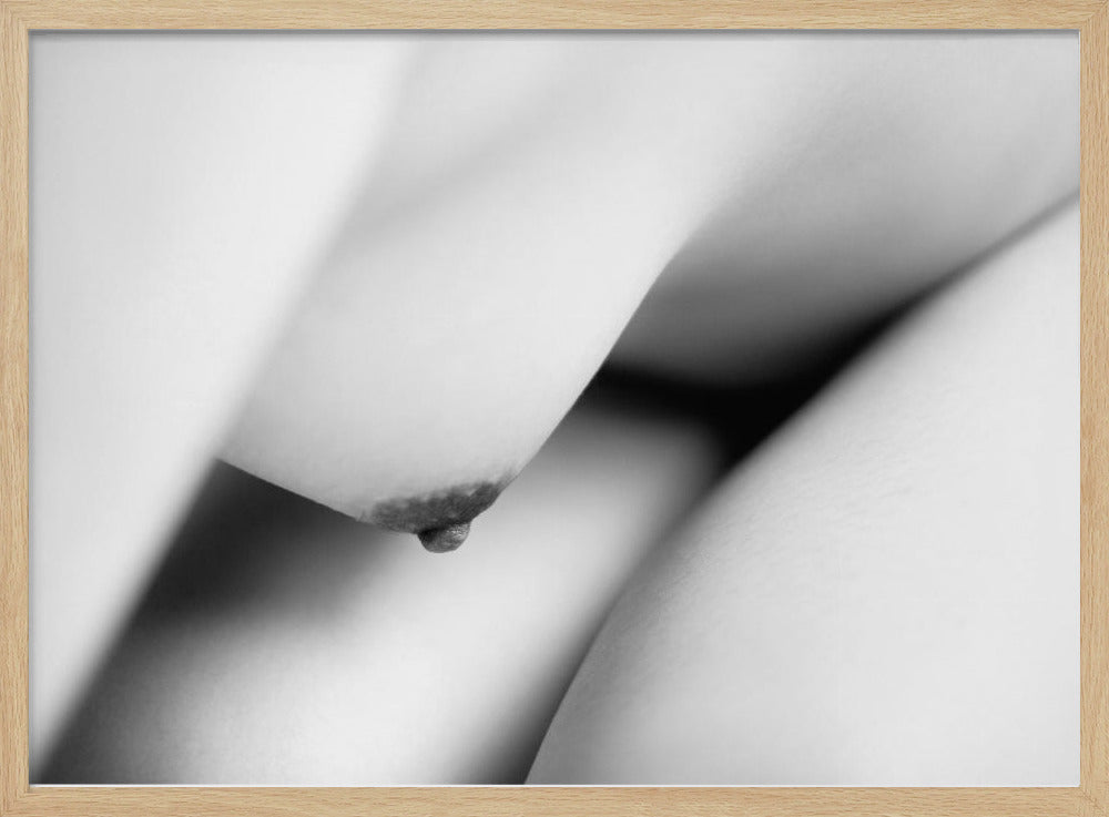 The body | Poster