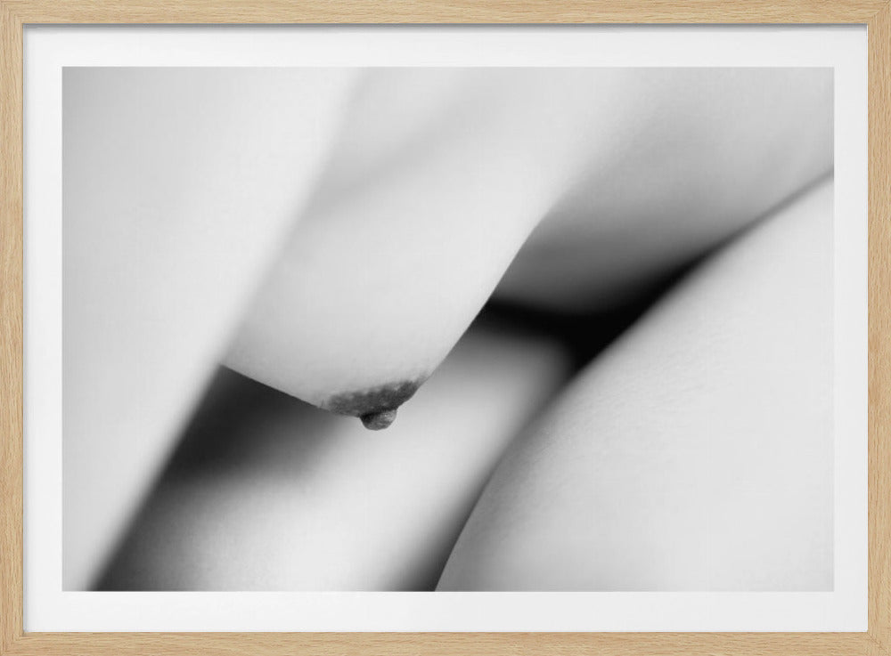 The body | Poster
