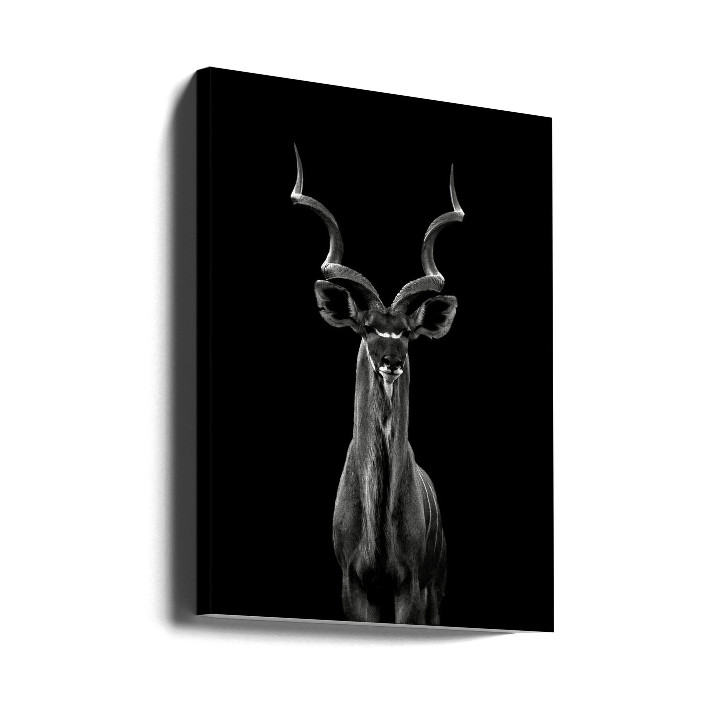 Större kudu | Canvas