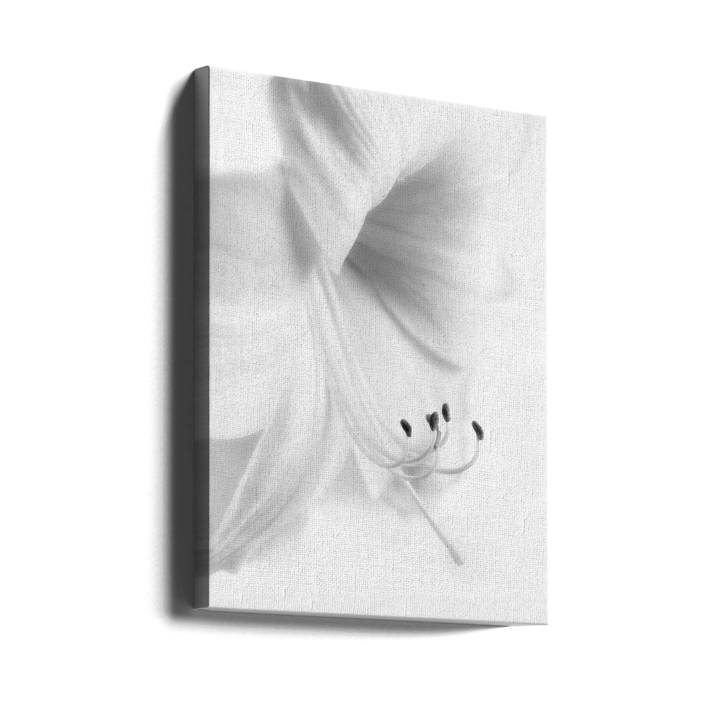 Vitt på vitt | Canvas