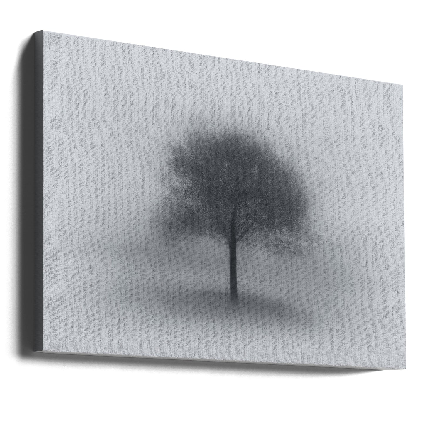 Albero nella nebbia | Stampe su Tela