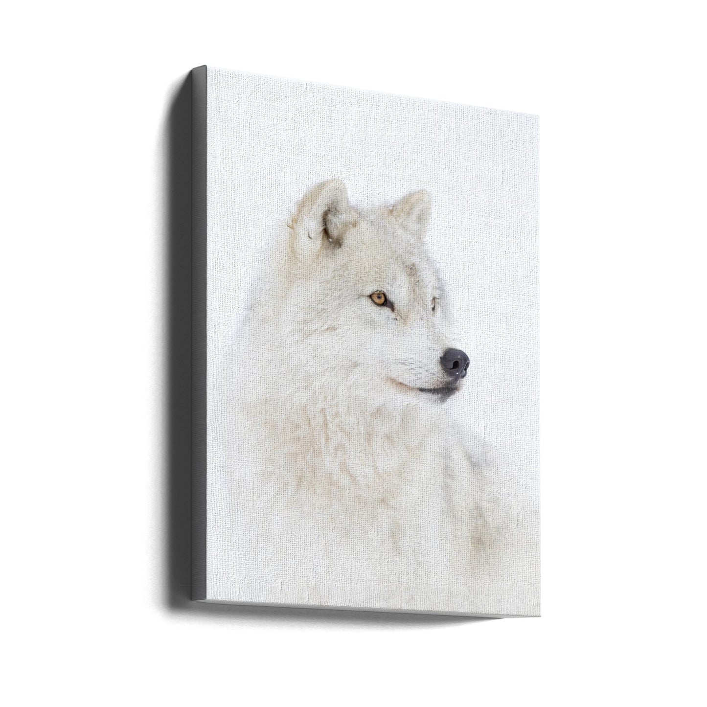 Portret van een poolwolf | Canvasprints