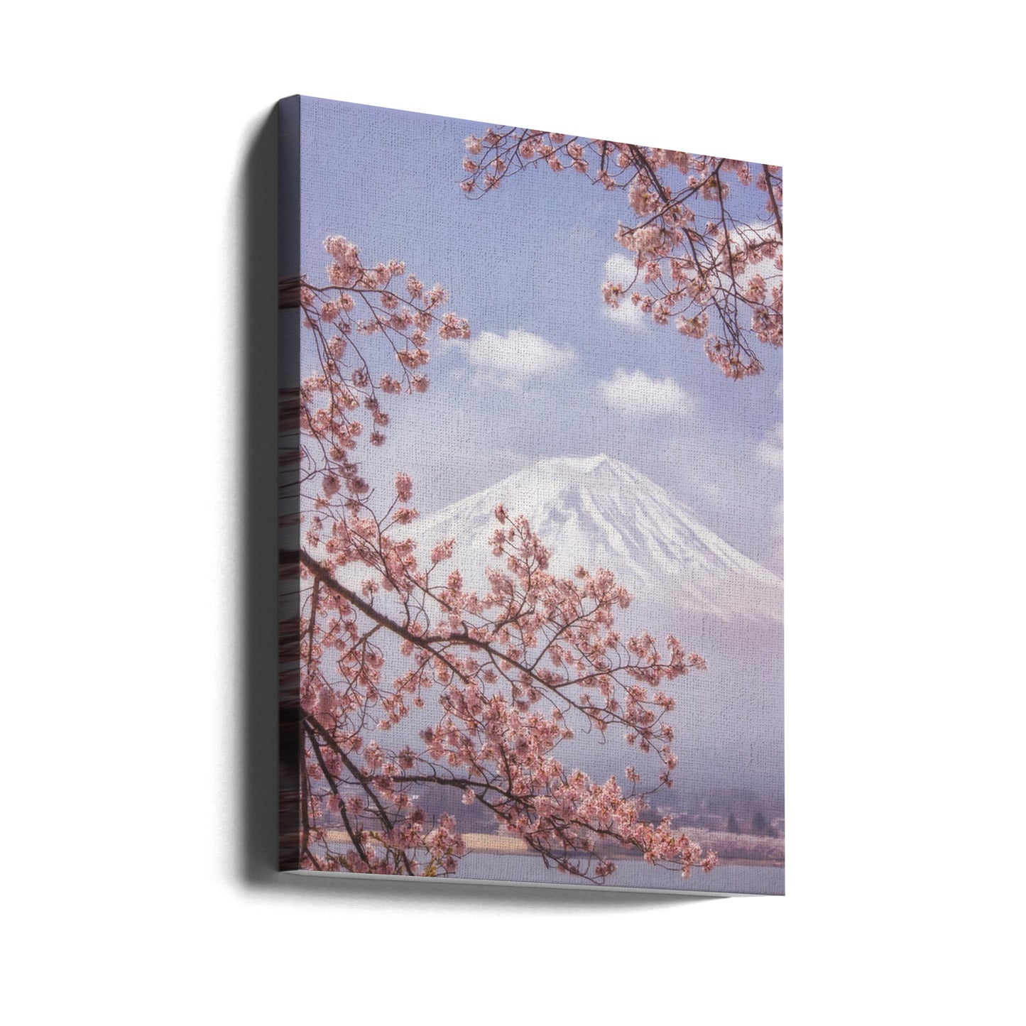Mt.Fuji in the cherry blossoms | Canvas