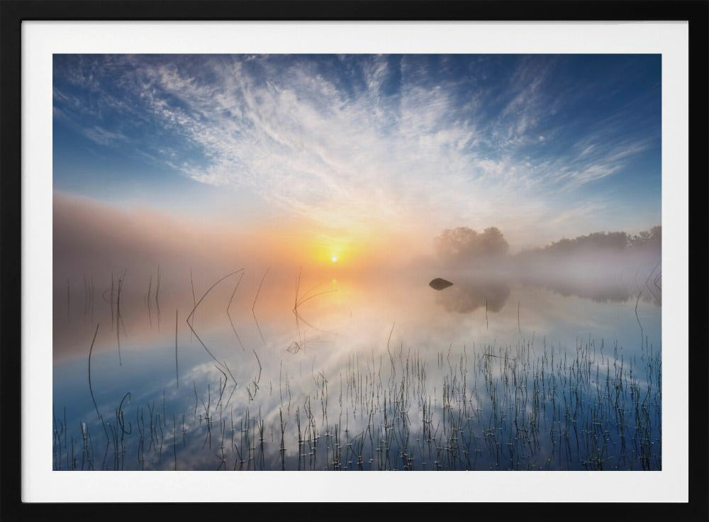 Refleksion | Plakater - Kunsttryk