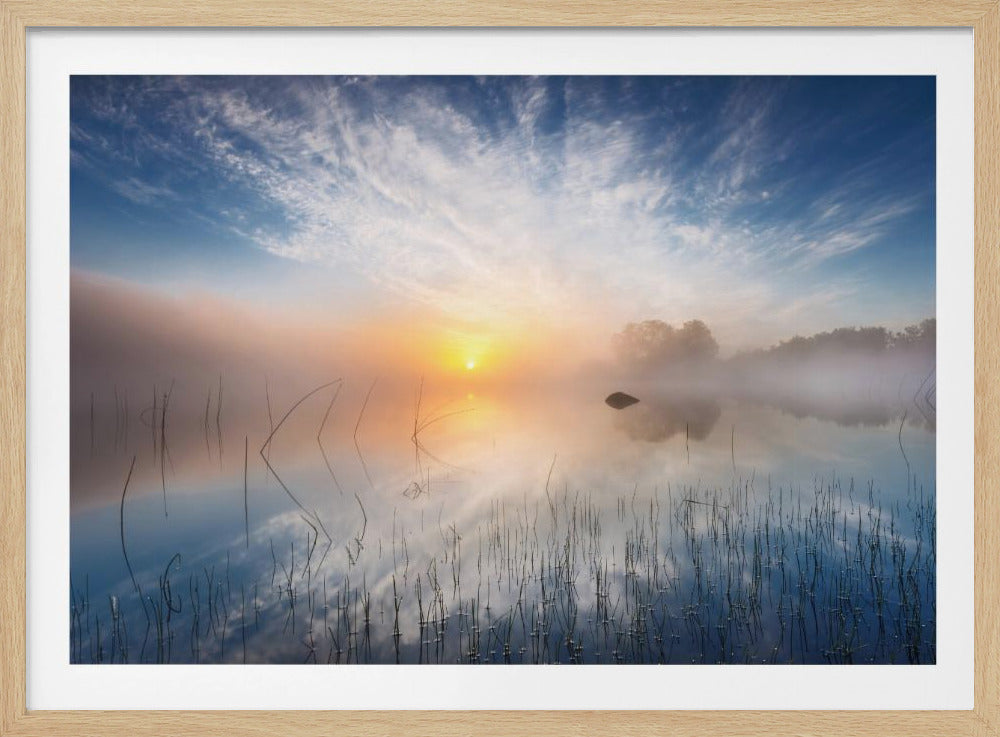 Refleksion | Plakater - Kunsttryk