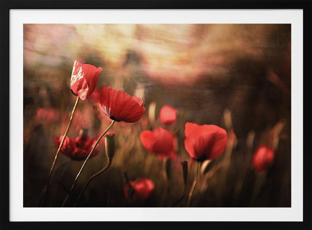 air du matin | Posters - Affiche Artistique