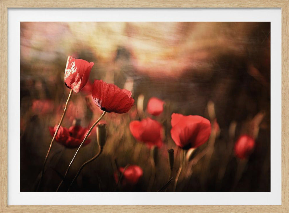 air du matin | Posters - Affiche Artistique