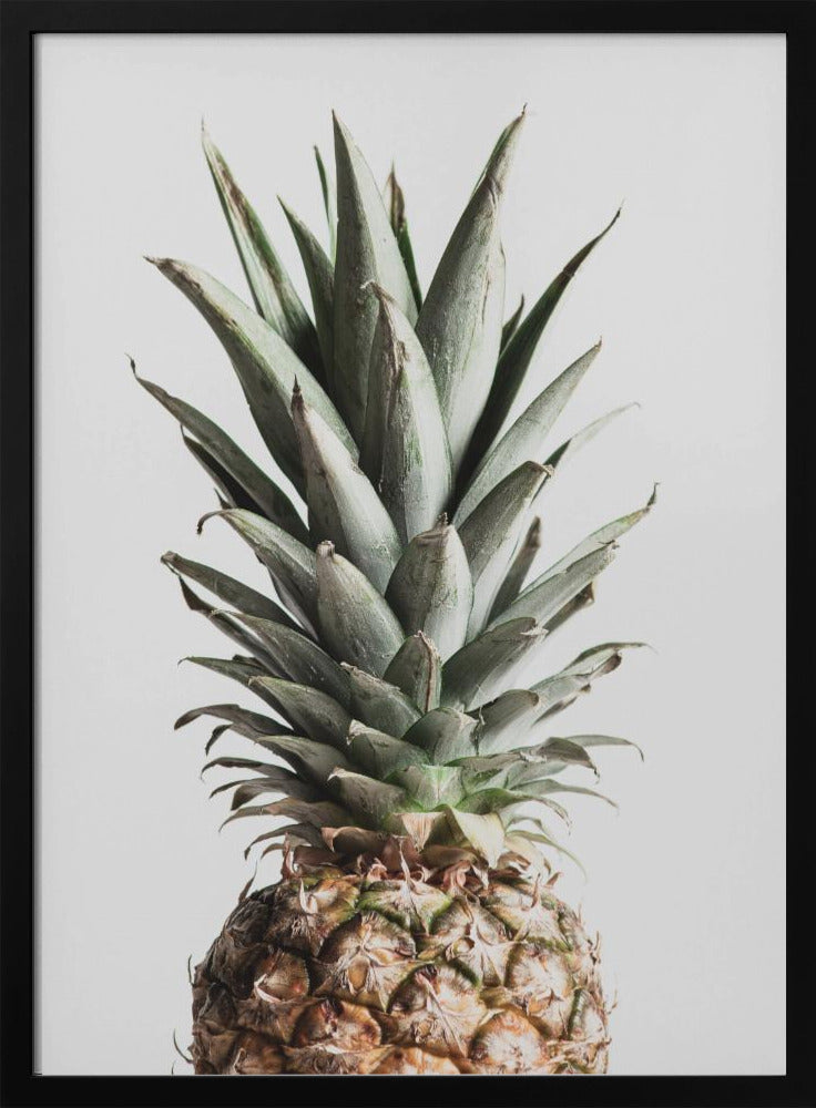 Piña Natural | Posters - Impresiones de Arte