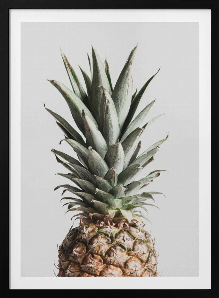 Piña Natural | Posters - Impresiones de Arte