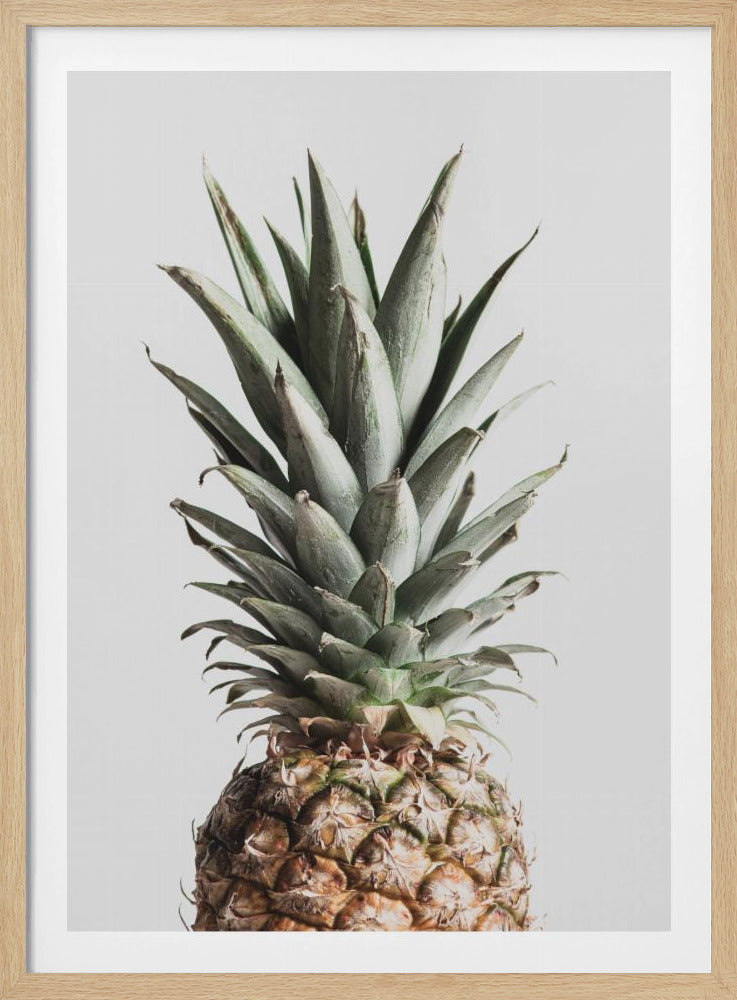 Piña Natural | Posters - Impresiones de Arte