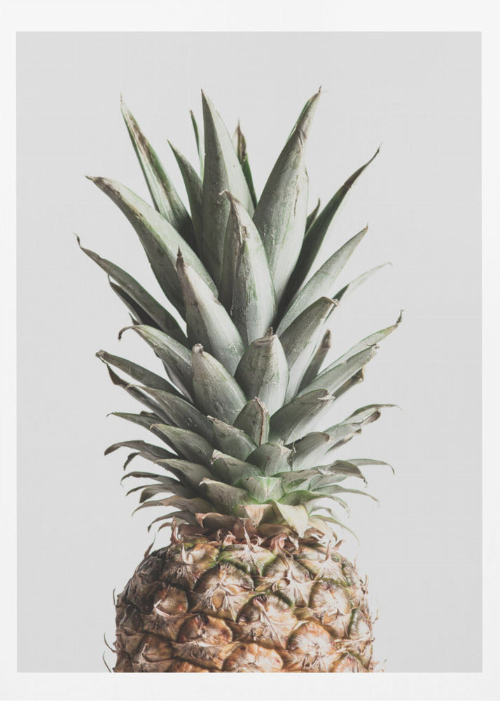 Piña Natural | Posters - Impresiones de Arte