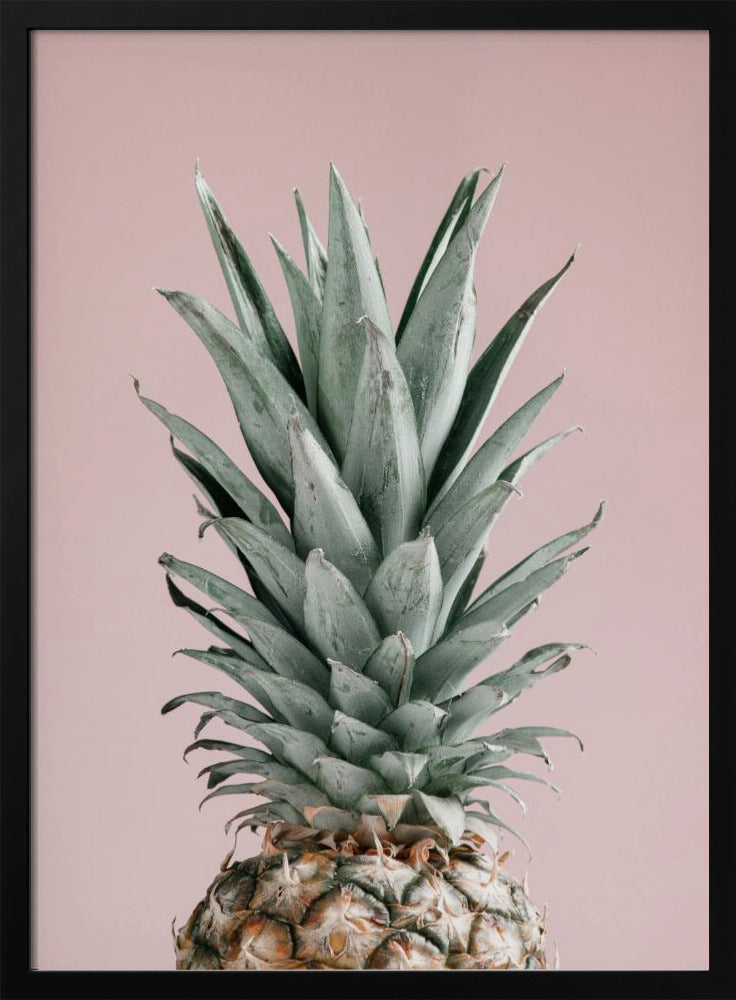Ananas Pinkki 02 | Julisteet - Taidevedokset