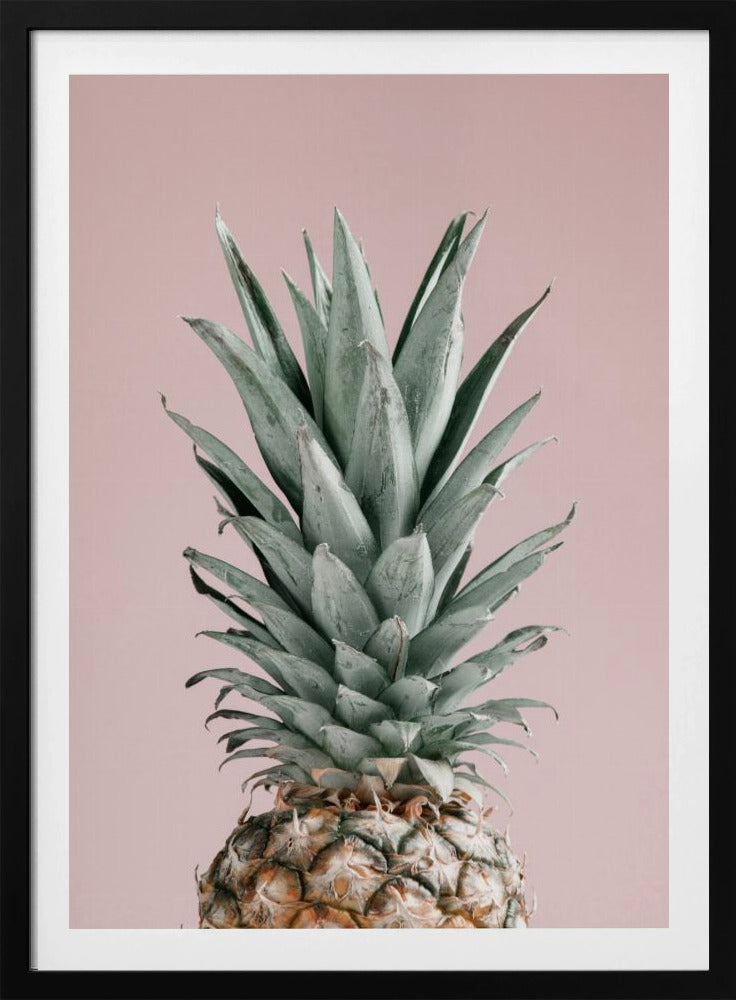 Ananas Pinkki 02 | Julisteet - Taidevedokset