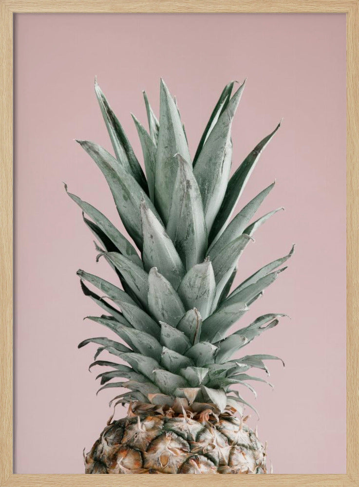 Ananas Pinkki 02 | Julisteet - Taidevedokset