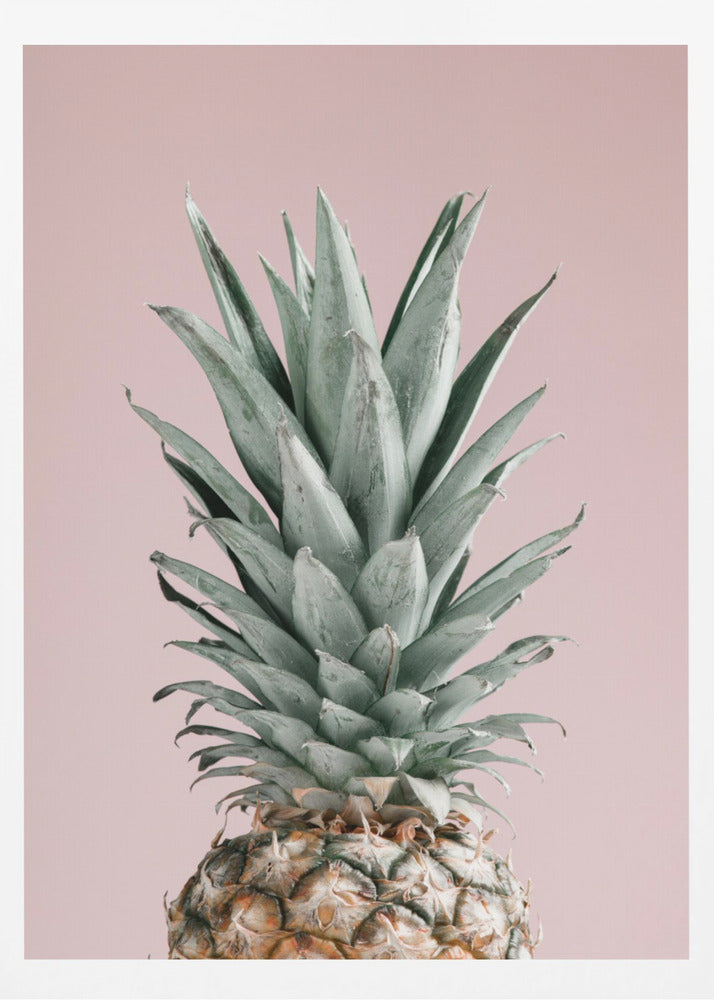 Ananas Pinkki 02 | Julisteet - Taidevedokset