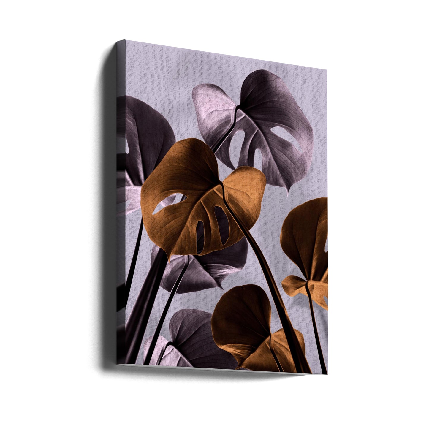 Monstera Viola 01 | Stampe su Tela