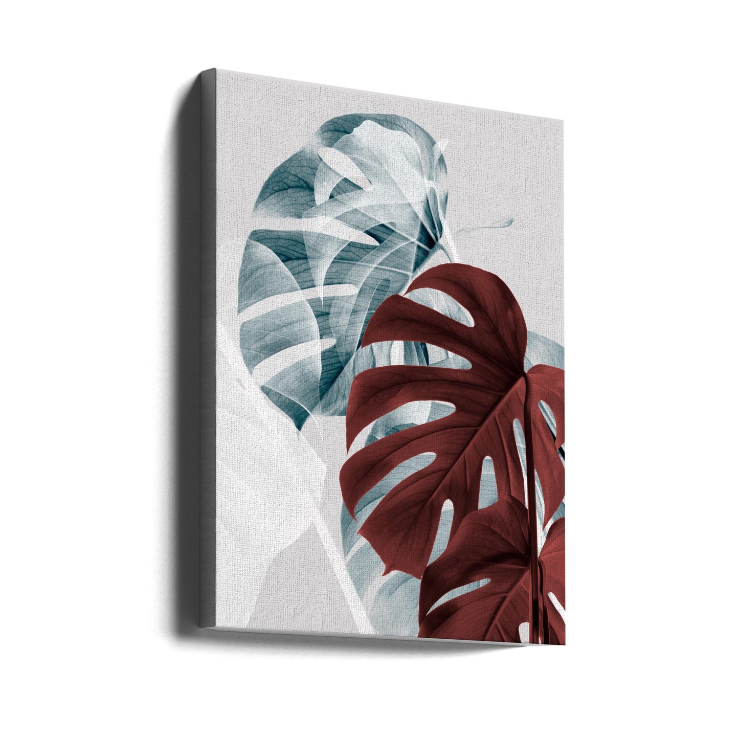 Monstera Creativo 18 | Stampe su Tela