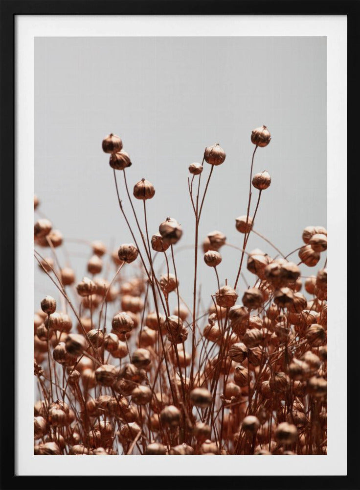 Dried Grass Copper 02 | Poster