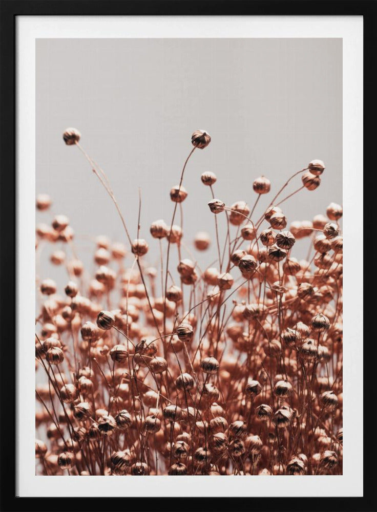 Dried Grass Copper 05 | Poster
