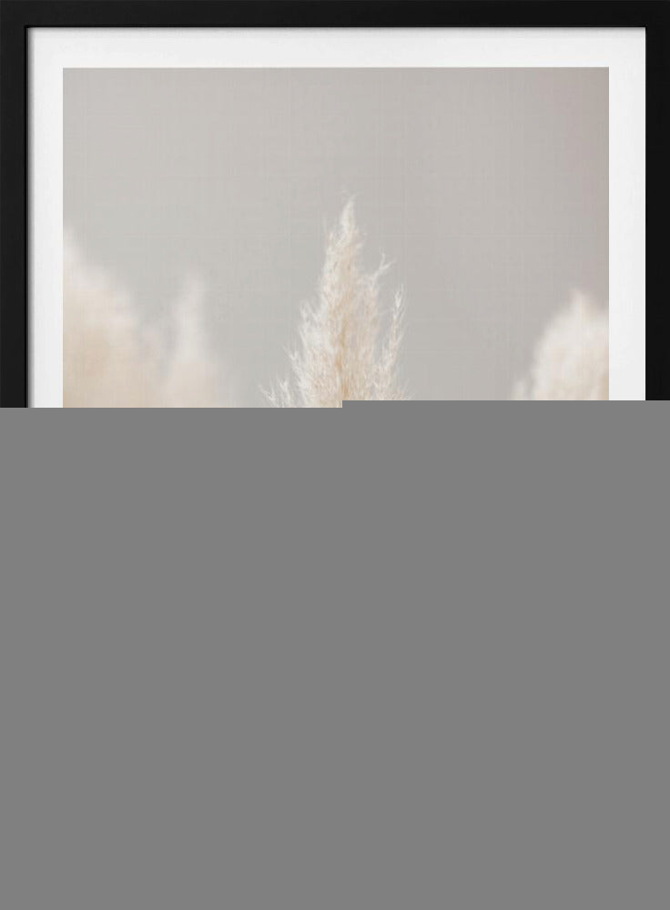 Pampas Grass Grey 04 | Poster