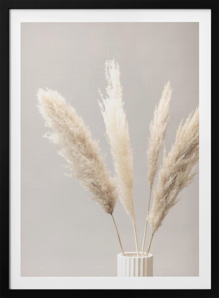 Pampas Grass Grey 05 | Poster