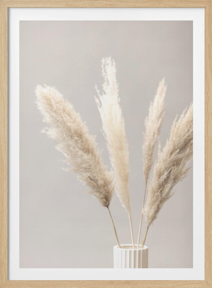 Pampas Grass Grey 05 | Poster