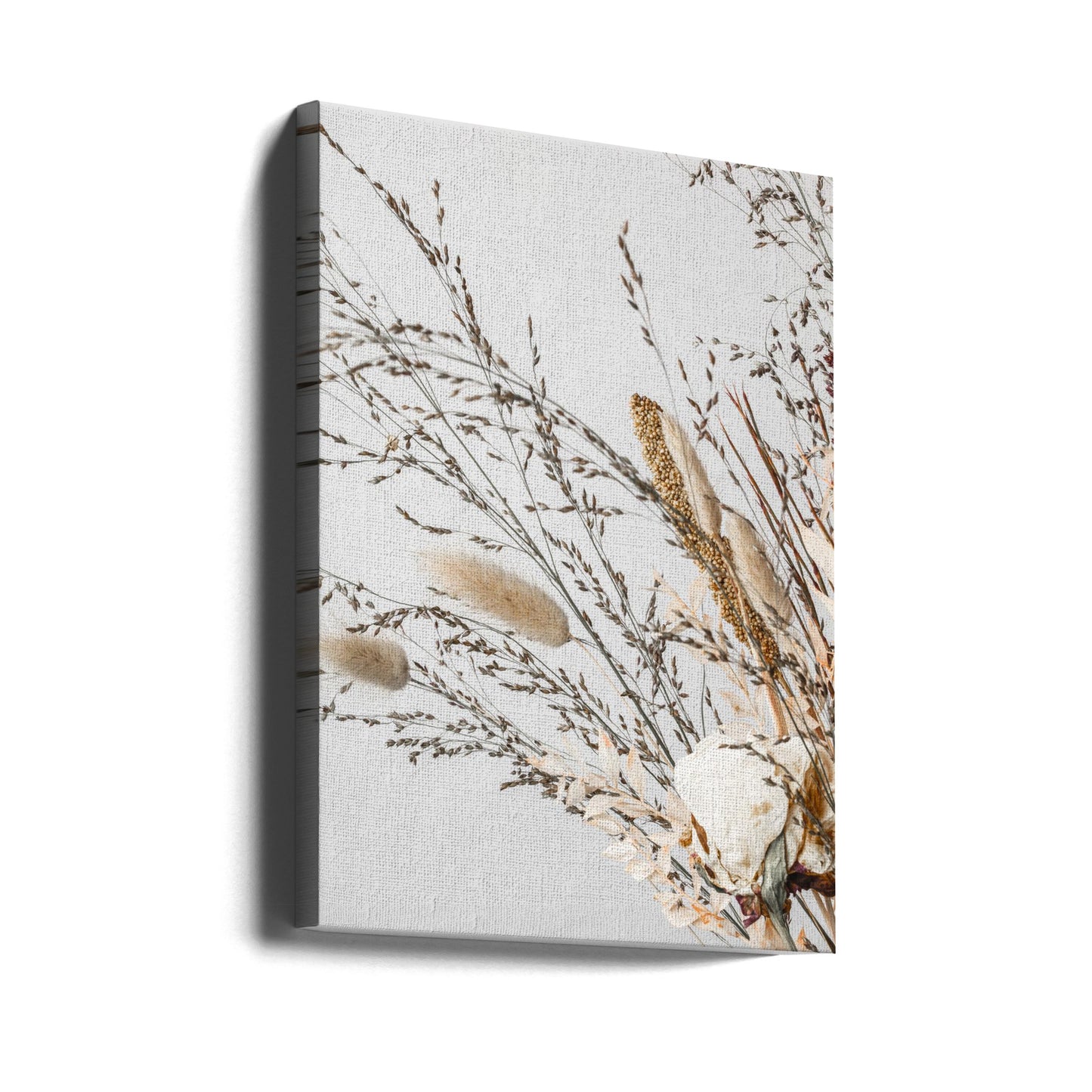 Dried_008 | Canvas