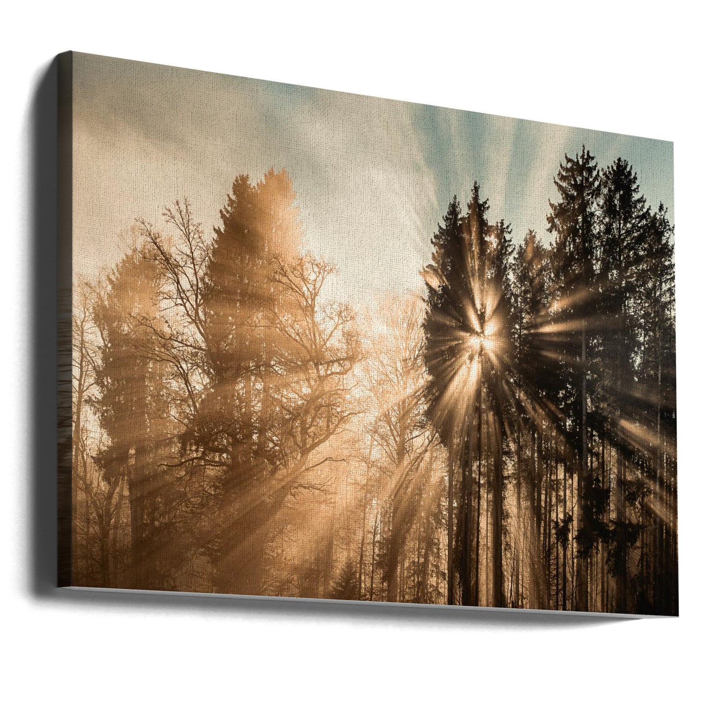 Disparition | Tableaux sur Toile