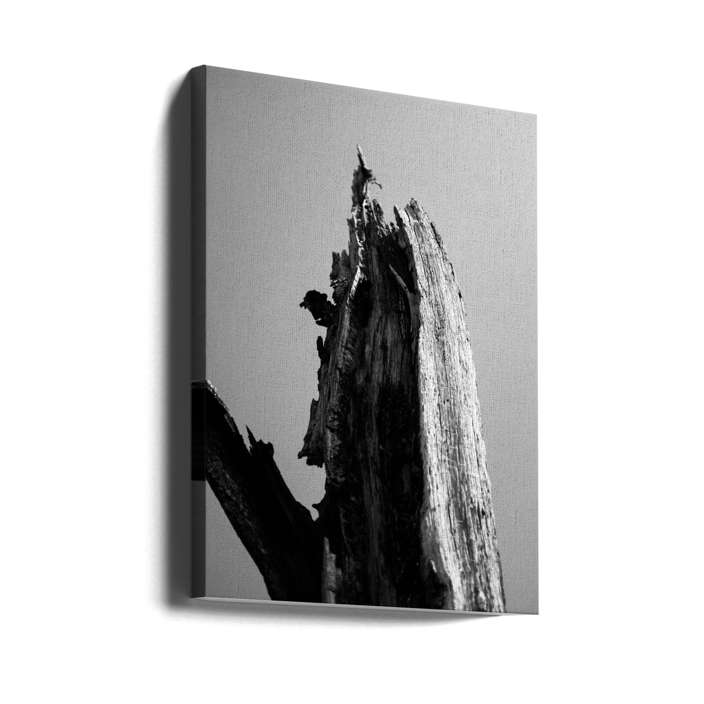 Wetlands 1 | Canvas