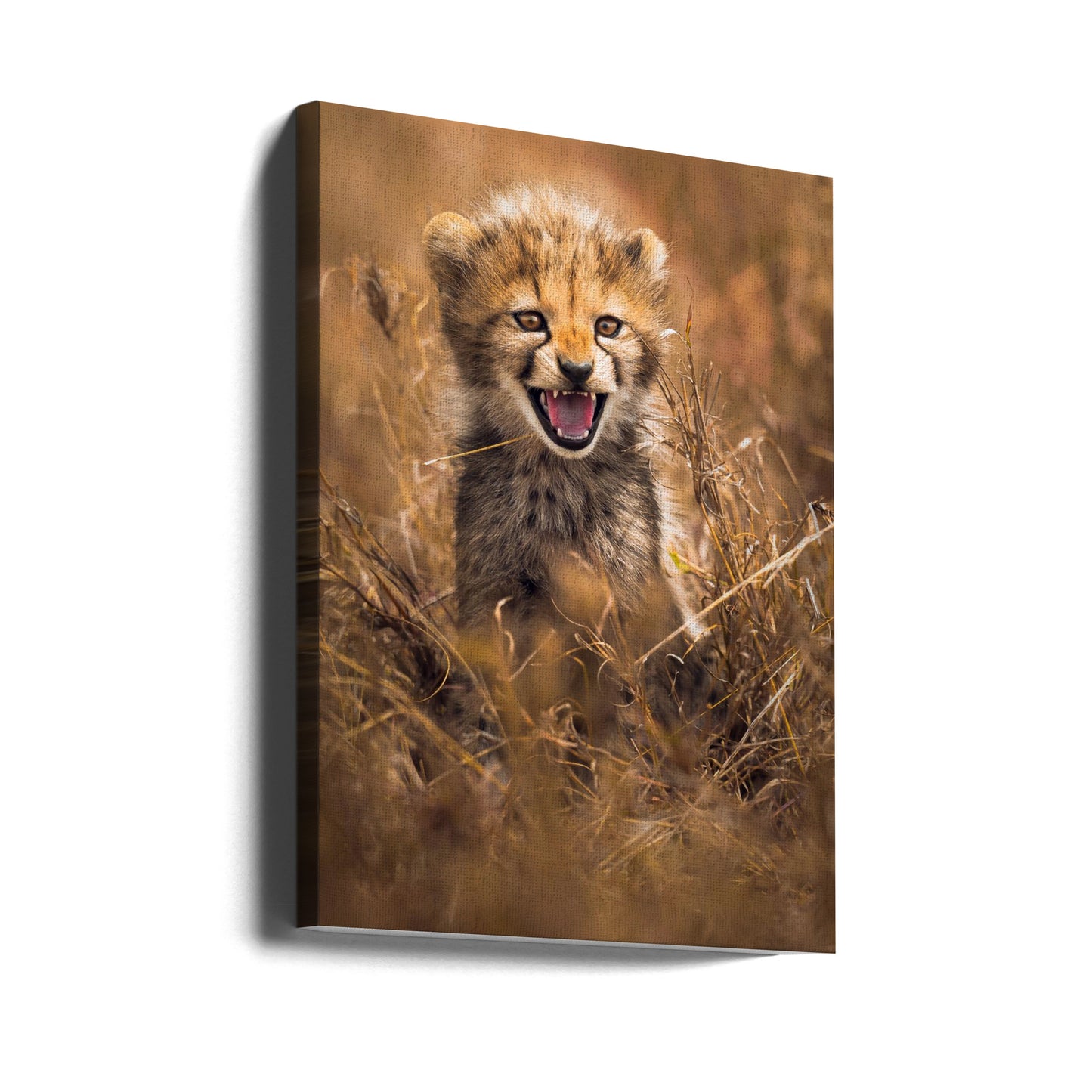 Big Smile | Canvas
