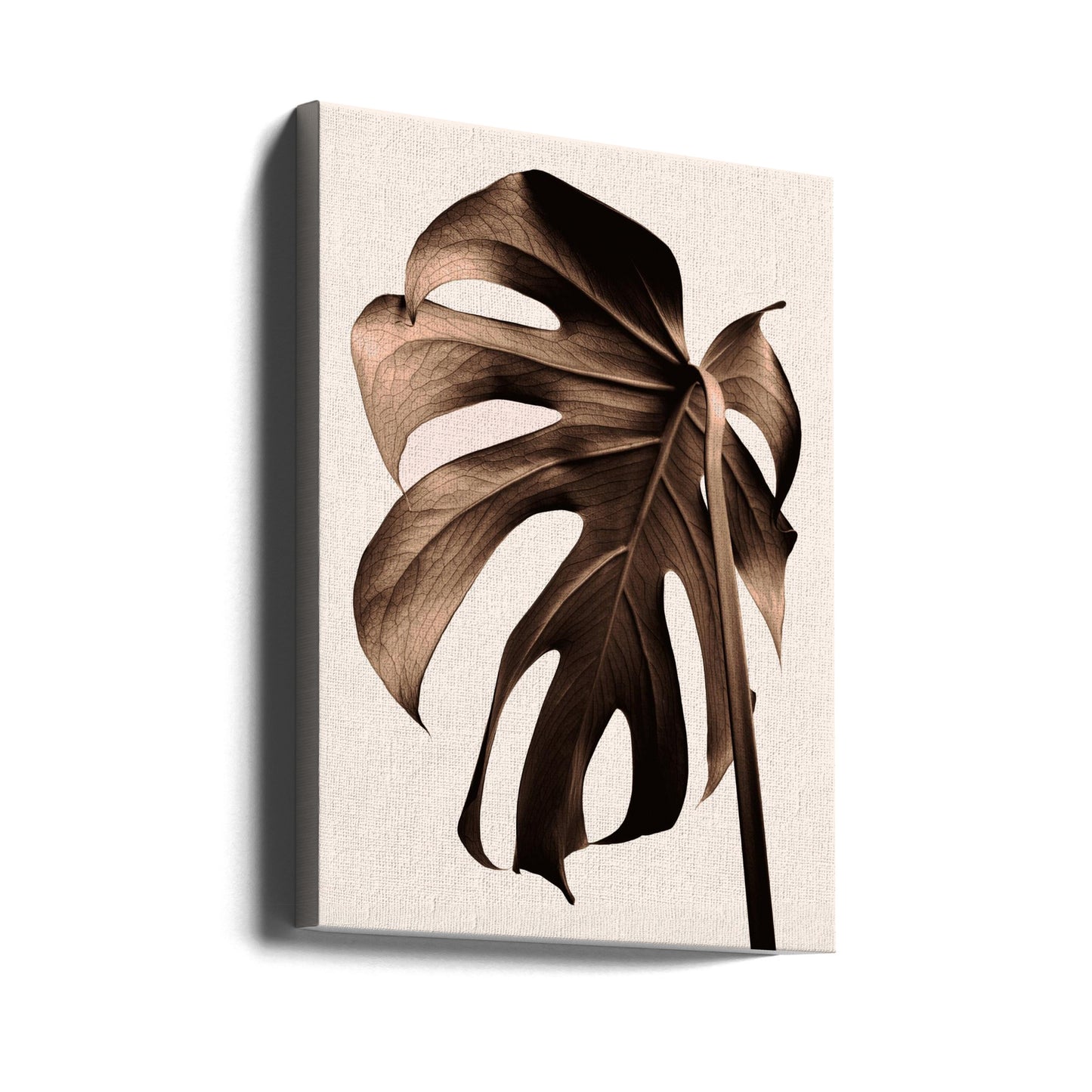Monstera Gold | Canvas
