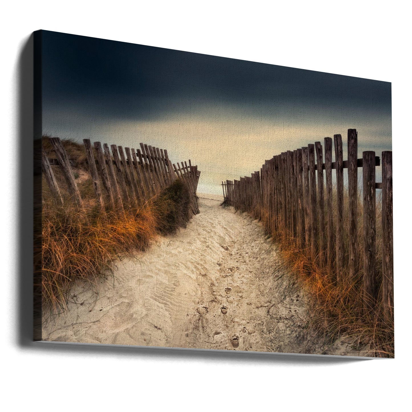 The path that led to you | Canvas