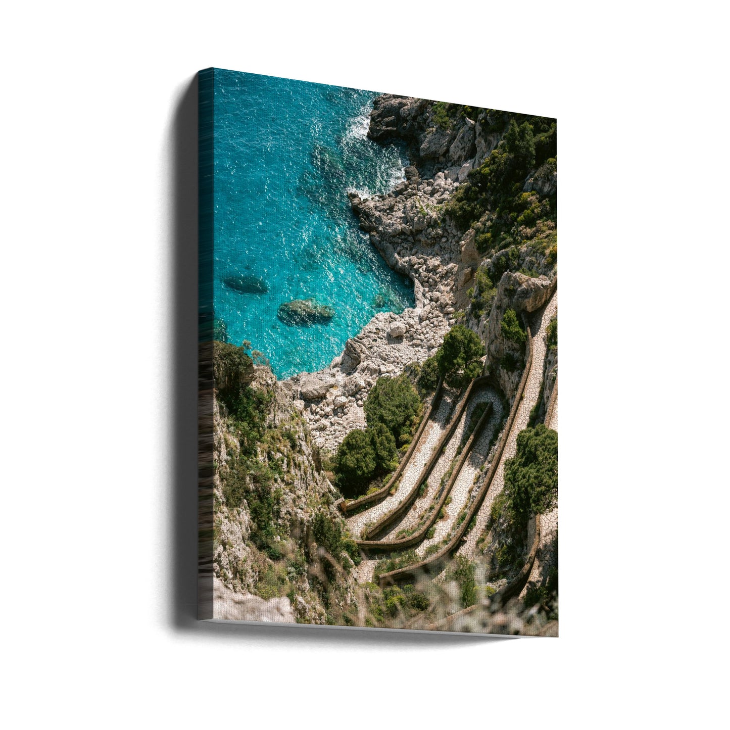 Gardens of Augustus | Canvas