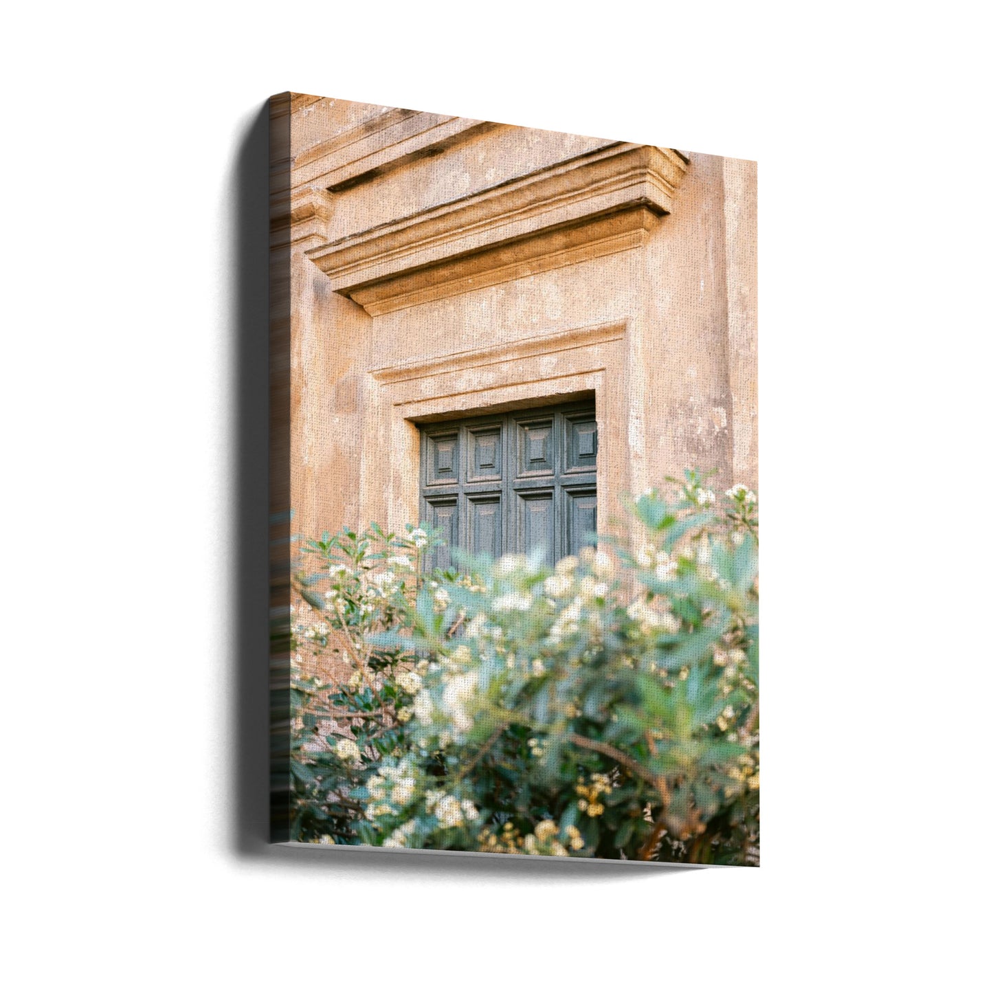 Botaniska Trastevere Rom | Canvastavla
