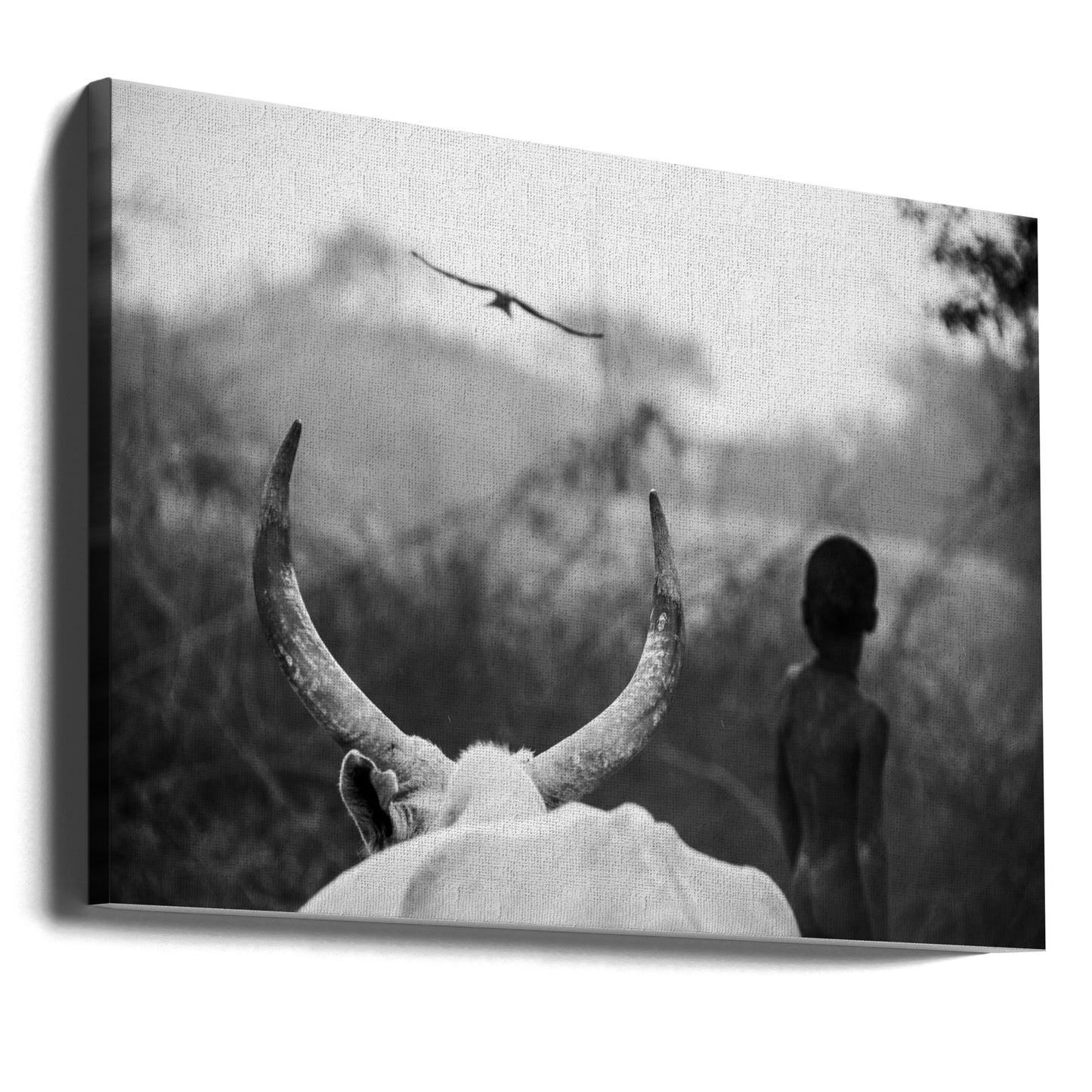 Garçon et vache | Tableaux sur Toile