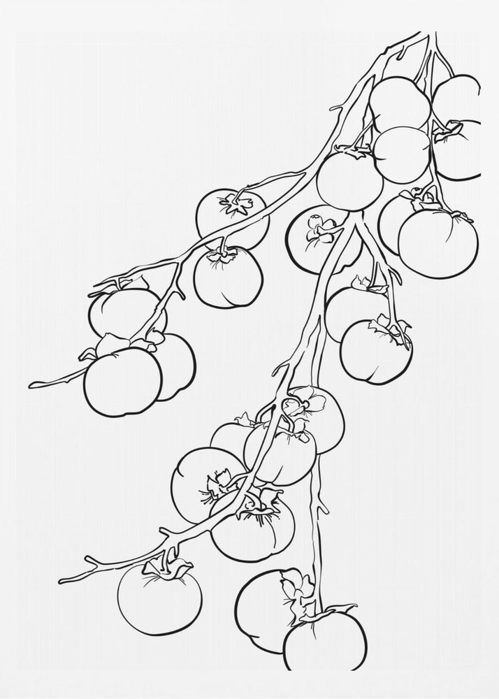 Branch of persimmons | Poster
