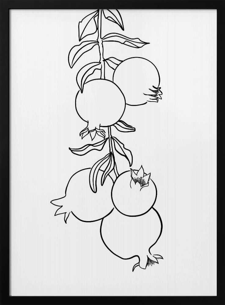 Branch of pomegranates | Poster